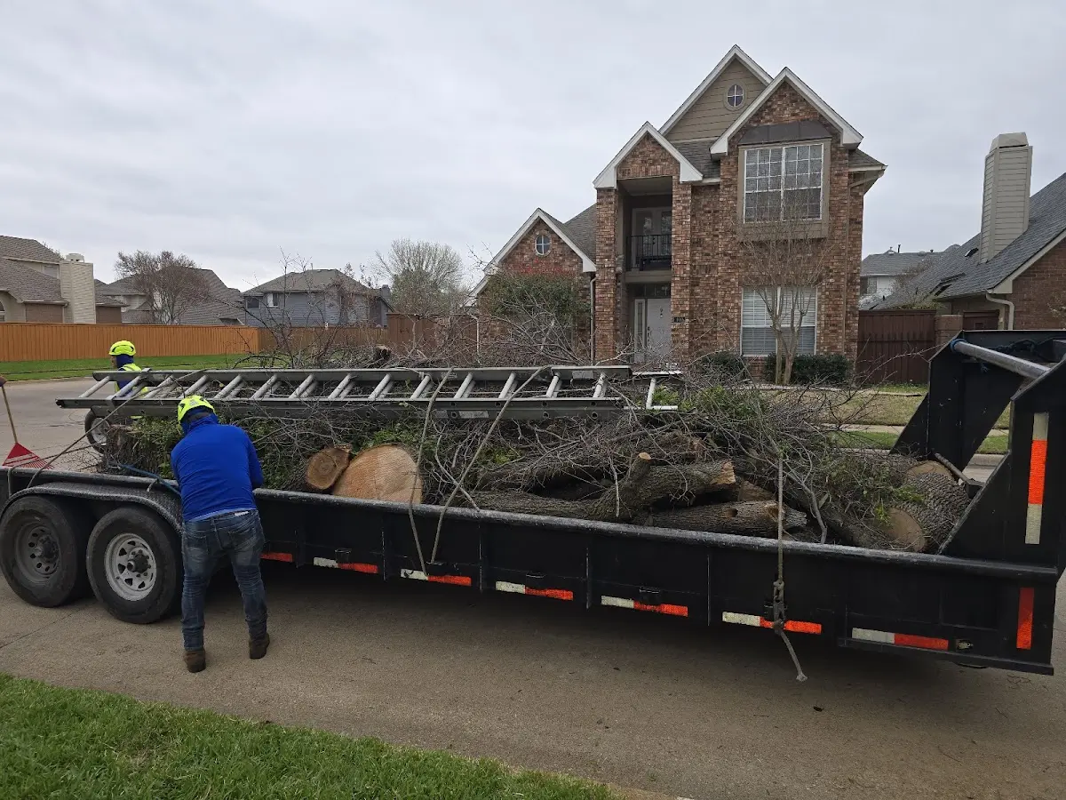 Expert Crown Reduction with proper safety equipment in Amherstdale